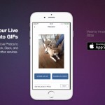 Live GIF: le Live Photos convertite in GIF
