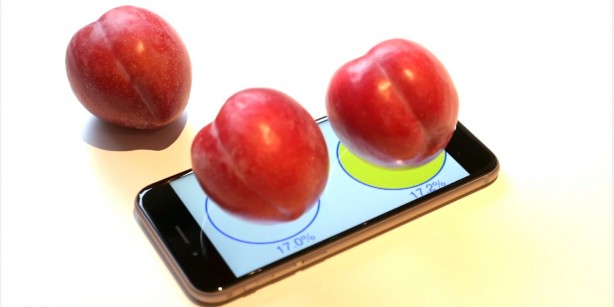 iphone-6-scale