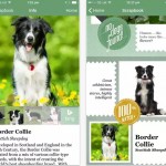 Microsoft: scatta una foto al cane e Fetch! svela di quale razza si tratta