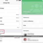 WhatsApp: i gruppi adesso possono contenere fino a 256 utenti