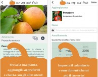 Cura il tuo orto con l’applicazione myVeg&Fruit