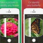 LikeThat Garden: l’app per vivere al meglio la bella stagione