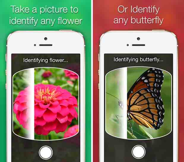 LikeThat Garden: l’app per vivere al meglio la bella stagione