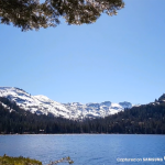 Samsung prende spunto da Apple: “Shot on iPhone” diventa “Captured on Galaxy S7”