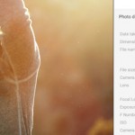 Huawei “promuove” le foto del P9, ma sono scattate con una reflex!