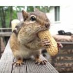 Apple realizza due nuovi spot per la campagna “Shot on iPhone”