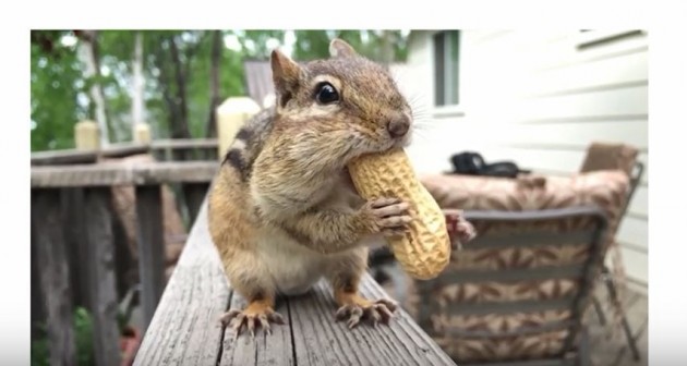 Apple realizza due nuovi spot per la campagna “Shot on iPhone”