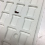 Un tasto nero per l’iPhone 7: confermata la colorazione dark?