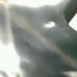 Fotocamera di iPhone 7: confermata una novità per il modello da 4.7″