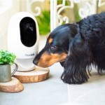 Pawbo+ consente di interagire con i propri animali domestici da remoto – IFA 2016