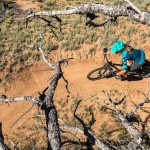 Nuovo reportage fotografico con iPhone 7 Plus