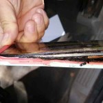 Samsung ai propri clienti: “Spegnete i vostri Note 7 e non utilizzateli più!”