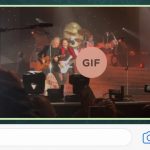 Le GIF animate arrivano (ufficialmente) su WhatsApp