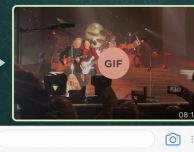 Le GIF animate arrivano (ufficialmente) su WhatsApp