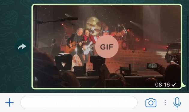 Le GIF animate arrivano (ufficialmente) su WhatsApp