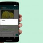 WhatsApp attiva le videochiamate per tutti gli utenti su iOS e Android!