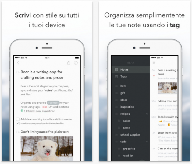 Bear, un’applicazione per gestire al meglio le tue note