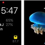 HealthFace, la più completa app Salute per Apple Watch