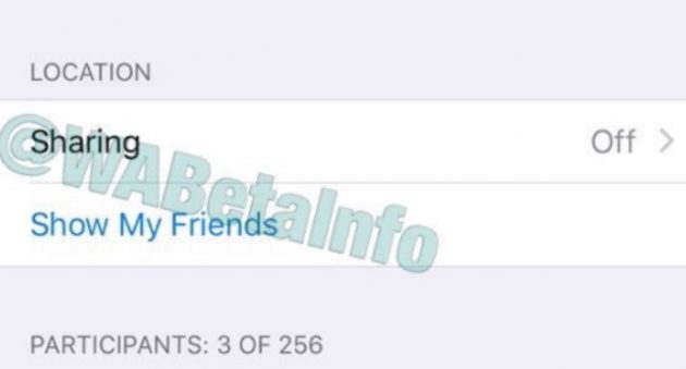 Su WhatsApp arriverà il Live Location Tracking per le chat di gruppo