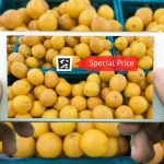 Realtà Virtuale e Realtà Aumentata sono il futuro?