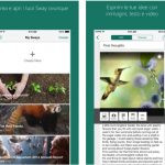 Microsoft Sway si aggiorna su App Store