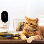 Pawbo+, la videocamera con dispenser di crocchette gestibile da iPhone