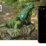 PowerVR Furian, la potente GPU di Imagination Technologies che potrebbe alimetare i prossimi iPhone