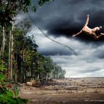 Beneficenza Apple: 1$ al WWF per gli acquisti negli Apple Store tramite Apple Pay