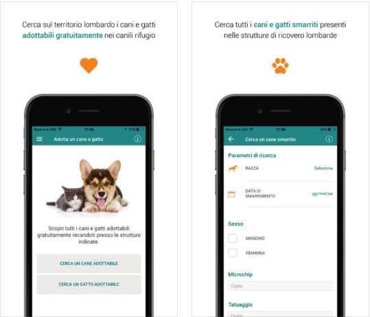La Regione Lombardia lancia l’app “Zampa a zampa” per l’adozione degli animali