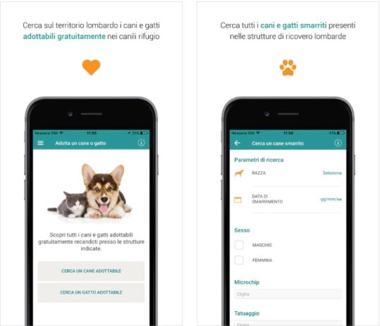La Regione Lombardia lancia l’app “Zampa a zampa” per l’adozione degli animali