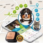 Kippy Vita, GPS e Activity Monitor per il tuo animale domestico – Recensione