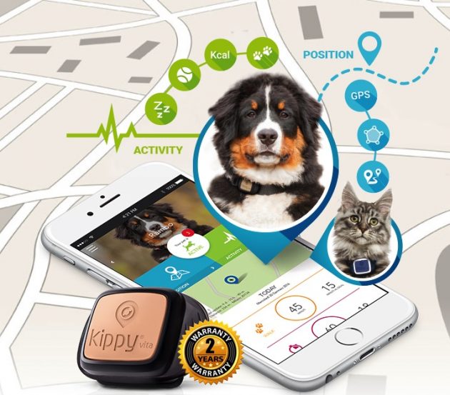 Kippy Vita, GPS e Activity Monitor per il tuo animale domestico – Recensione