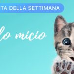 Apple regala l’app “Piccolo micio”