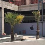 Apple amplierà la sua presenza in Messico