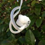 Under Armour Sport Wireless Heart Rate, le cuffie realizzate con JBL per gli sportivi – RECENSIONE