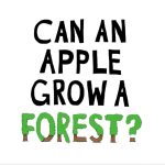 Apple annuncia il suo progetto per la protezione delle foreste