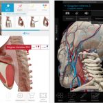 Atlante di anatomia umana edizione 2018 a soli 1,09 Euro