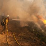 Apple dona 1 milione di dollari per aiutare la California devastata dagli incendi