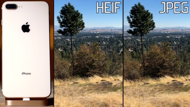 Formato HEIF contro JPEG, confronto tra qualità e risparmio