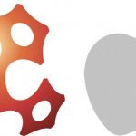 Apple ha acquisito la InVisage per migliorare le fotocamere di iPhone e iPad