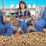 Campagna pubblicitaria dedicata a FileMaker con i protagonisti di The Office