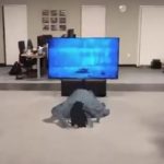 ARKit: la bambina di The Ring esce dalla TV e ti segue