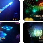 Candleman: nuovo ed avvincente puzzle game per iPhone e iPad