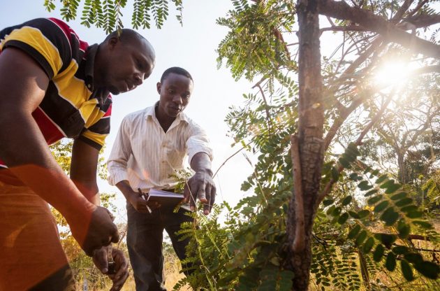 Giornata della Terra, Apple spiega cosa sta facendo per aiutare l’ambiente