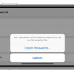 Chrome si aggiorna con la funzione di esportazione password
