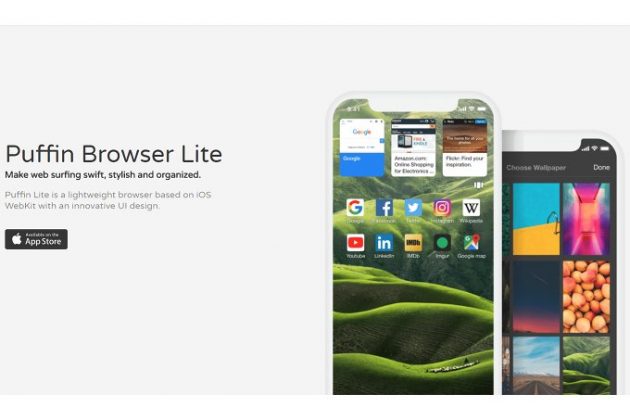 Puffin Brower Lite arriva su App Store e sfrutta i nuovi WebKit di iOS