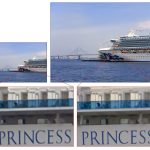 Fotocamera iPhone con sensore Sony da 48MP nel 2019?