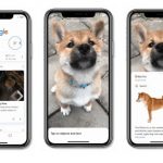 L’app Google per iOS ora integra Google Lens
