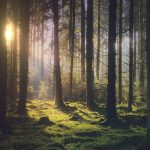 Fotografi professionisti contro Apple: “Dovrebbe pagare per le foto della campagna Shot on iPhone”