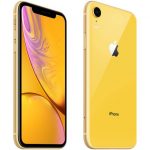 L’iPhone XR di prossima generazione monterà antenne 4×4 MIMO – RUMOR